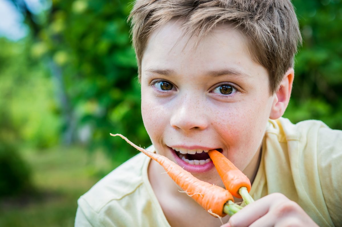 Actie: Gratis groentezaden en advies eetbaar groen voor basisscholen en BSO’s uit Overijssel
