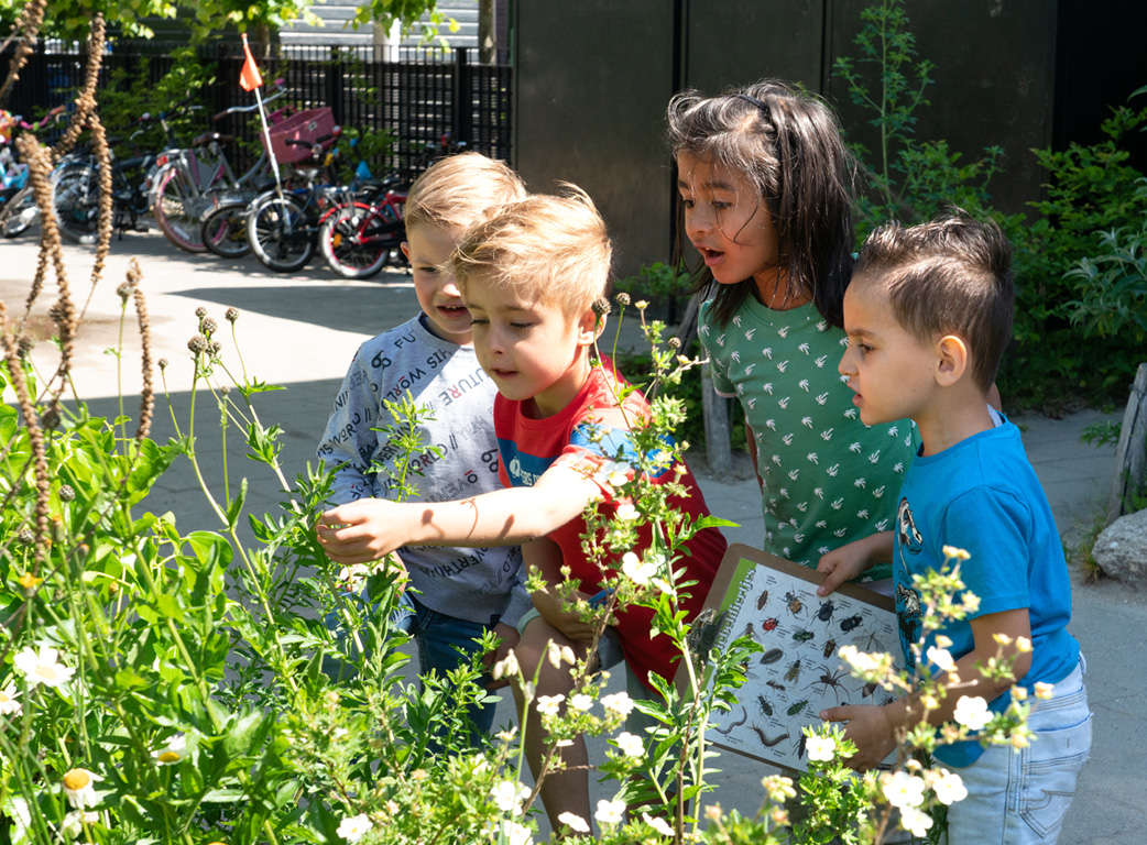 Open Groene Schoolpleinendag