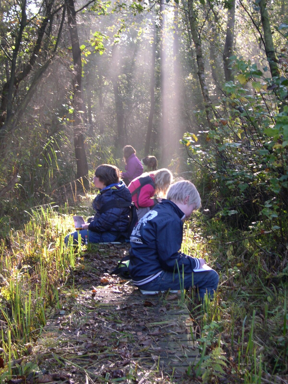 Nationaal park Weeribben-Wieden