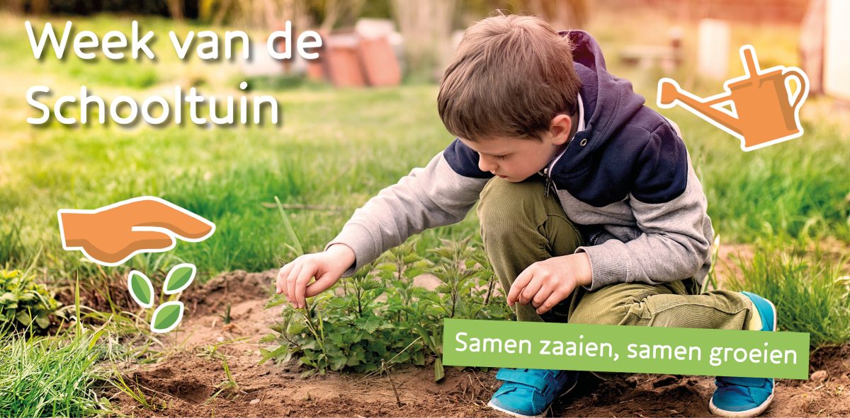 Zo’n 2100 schoolkinderen in Overijssel doen mee met tweede ‘Week van de Schooltuin’