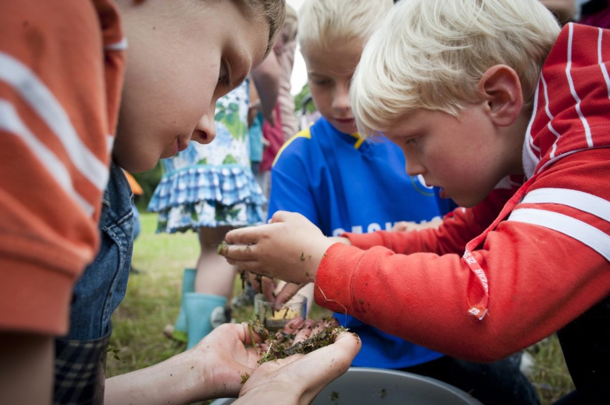 Wierdense basisscholen en BSO’s gaan aan slag met Natuur en Milieu Educatie