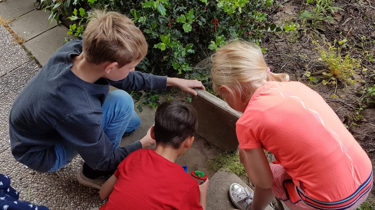 Kennislabs Insectenweek voor docenten op 17 en 18 april