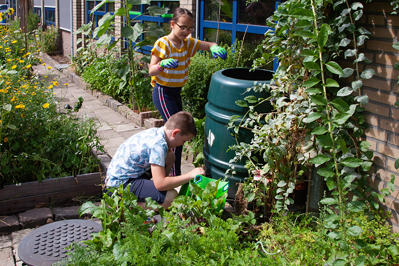 Subsidieregeling Groene Schoolpleinen
