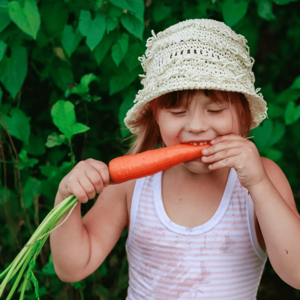 jong kind in moestuin bijt op een wortel - klik op deze afbeelding om mee te doen met de moestuinzadenactie voor BSO en kinderopvang