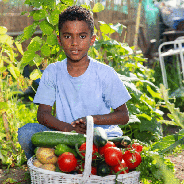 een jongen zit in de moestuin voor een mandje met tomaten, komkommers en aardappels. klik op deze afbeelding om mee te doen met de moestuinzadenactie voor basisscholen