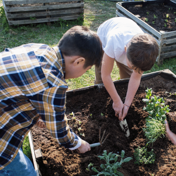 twee jongeren zijn met schepjes aan het graven in een moestuinbak - klik op deze afbeelding om mee te doen met de moestuinzadenactie voor middelbare scholen